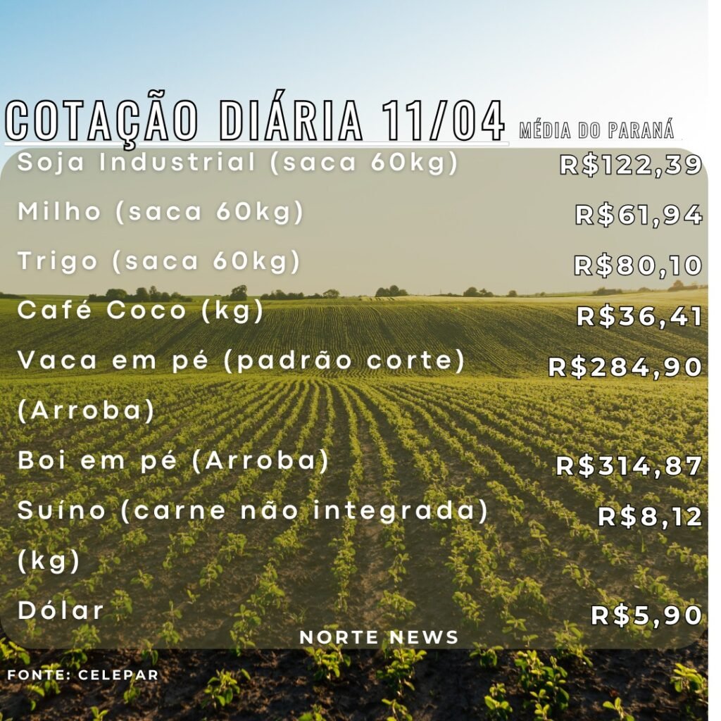 WhatsApp Image 2025-04-11 at 12.18.20